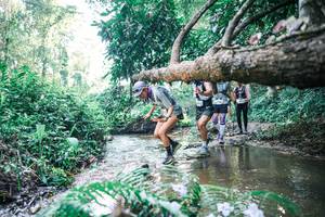 BIB: 
                            <button type="button" onclick="openModal(25445193)" class="btn btn-primary btn-sm float-right btn-popup" data-toggle="modal" data-target=".modal-high-quality">
                        <i class="fas fa-shopping-cart"></i> Add to Cart
                    </button>
                                            <button type="button" onclick="isThisMe(25445193, true)" class="btn btn-success btn-sm float-right btn-popup btn-isme hidden" data-toggle="tooltip" data-placement="bottom" title="นี่คือรูปของคุณใช่ไหม คลิกที่นี่เพื่อเอาเข้าอัลบั้ม">
                        <i class="fas fa-plus"></i> Add to album
                    </button>
                    <button type="button" onclick="isThisMe(25445193, false)" class="btn btn-warning btn-sm float-right btn-popup btn-isnotme hidden">
                        <i class="fas fa-ban"></i> Remove from album
                    </button>